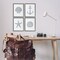 Stupell Industries Minimal Shells & Anchor 4pc Framed Giclee Wall Art Set Design by Jetty Home, LLC